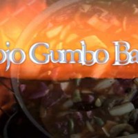 Mojo Gumbo Band ( click here to see )